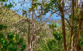 Spring Estate Lot 45