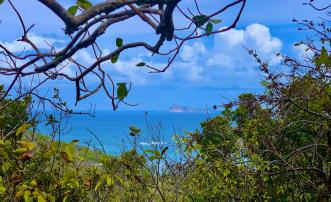 Spring Estate Lot 45