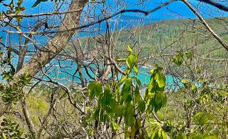 Spring Estate Lot 45