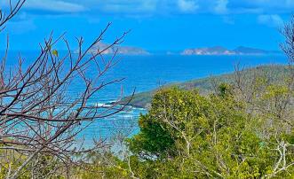 Spring Estate Lot 45