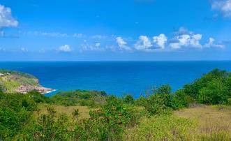 Mount Pleasant Land 7 Acres GR 508