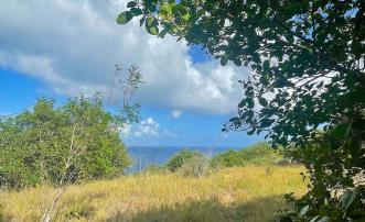 Mount Pleasant Land 7 Acres GR 508