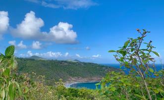 Mount Pleasant Land 7 Acres GR 508