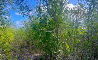 Mount Pleasant Land Plot 1 on GR1634