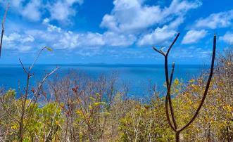 Mount Pleasant Land Plot 1 on GR1634