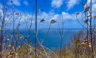 Mount Pleasant Land Plot 1 on GR1634