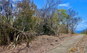 Hope Estate Lot 15