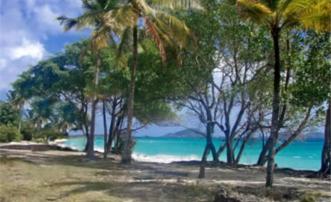 Baie de Sucre Hillside Land 1/2 Acre