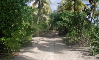 Baie de Sucre Hillside Land 1/2 Acre