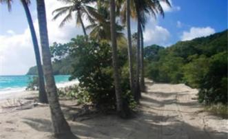 Baie de Sucre Hillside Land 1/2 Acre