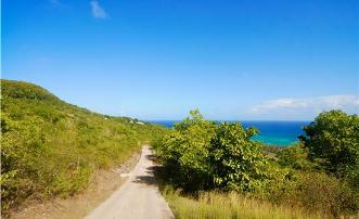 Spring Estate Lot 59