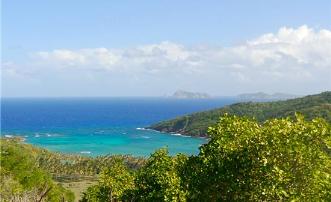 Spring Estate Lot 59