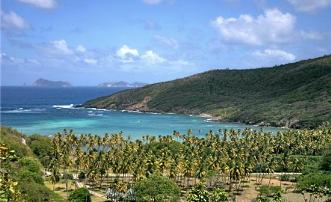 Spring Estate Lot 59