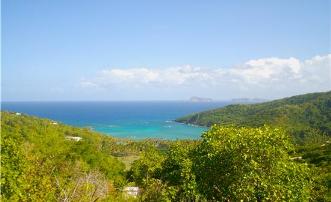 Spring Estate Lot 39