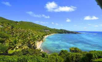 Crown Point Hillside Half Acre Lots