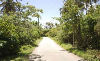 Crown Point Hillside Half Acre Lots