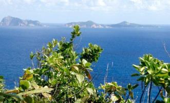 Friendship Heights Half Acre Lots