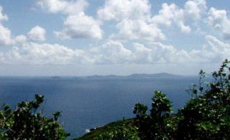 Friendship Heights Half Acre Lots