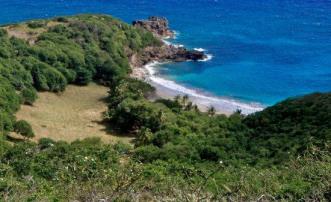 Friendship Heights Half Acre Lots