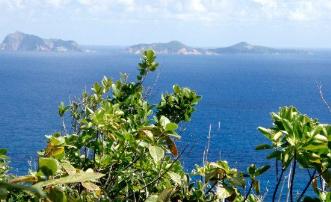 Friendship Heights Lot 21