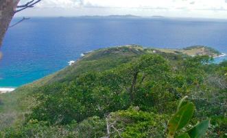 Friendship Heights Lot 21