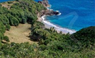 Friendship Heights Lot 2