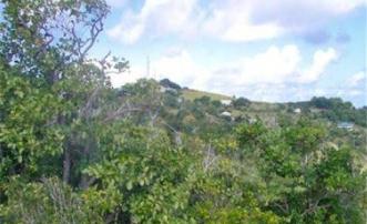 Friendship Heights Lot 2