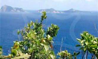 Friendship Heights Lot 2