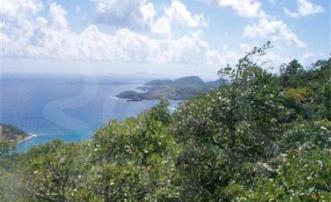 Friendship Heights Lot 2