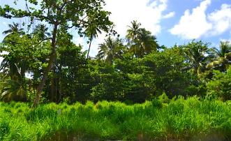 Crown Point GR975 Plot 5