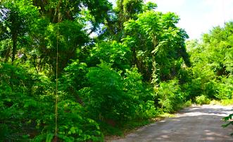 Crown Point GR990 Plot 5