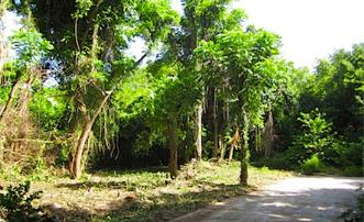 Crown Point GR990 Plot 5