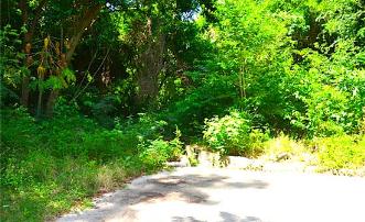 Crown Point GR990 Plot 5