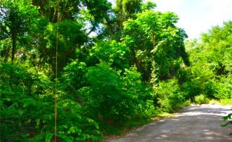 Crown Point GR990 Plot 5