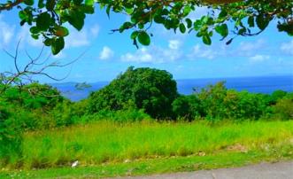 Mount Pleasant Land GR863