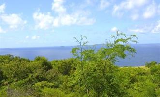 Mount Pleasant Land GR863