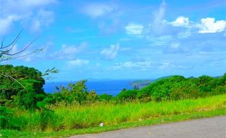 Mount Pleasant Land GR863