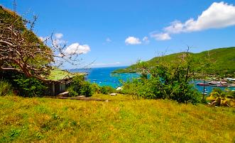 Admiralty Bay Property