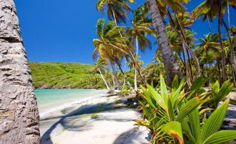 Crown Point LAND LOT 1