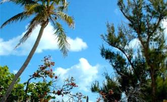 Private Island Sandy Cay