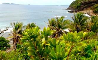 Residential Plots Spring