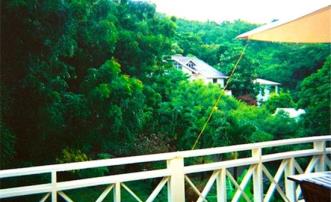 Lower Bay land