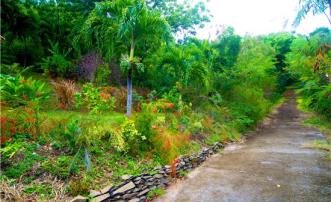 Lower Bay land