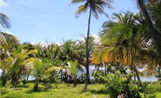 Private Island Sandy Island