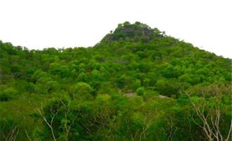 Carriacou Residential Lot