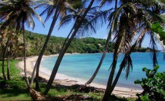 Ocean Ridge 1.1 Acres