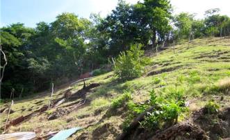 Hillside Land Prospect 2.5 Acre