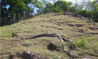 Hillside Land Prospect 1 Acre