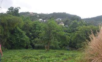 Belair Land
