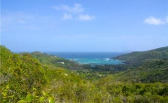 Spring Estate Lot 57